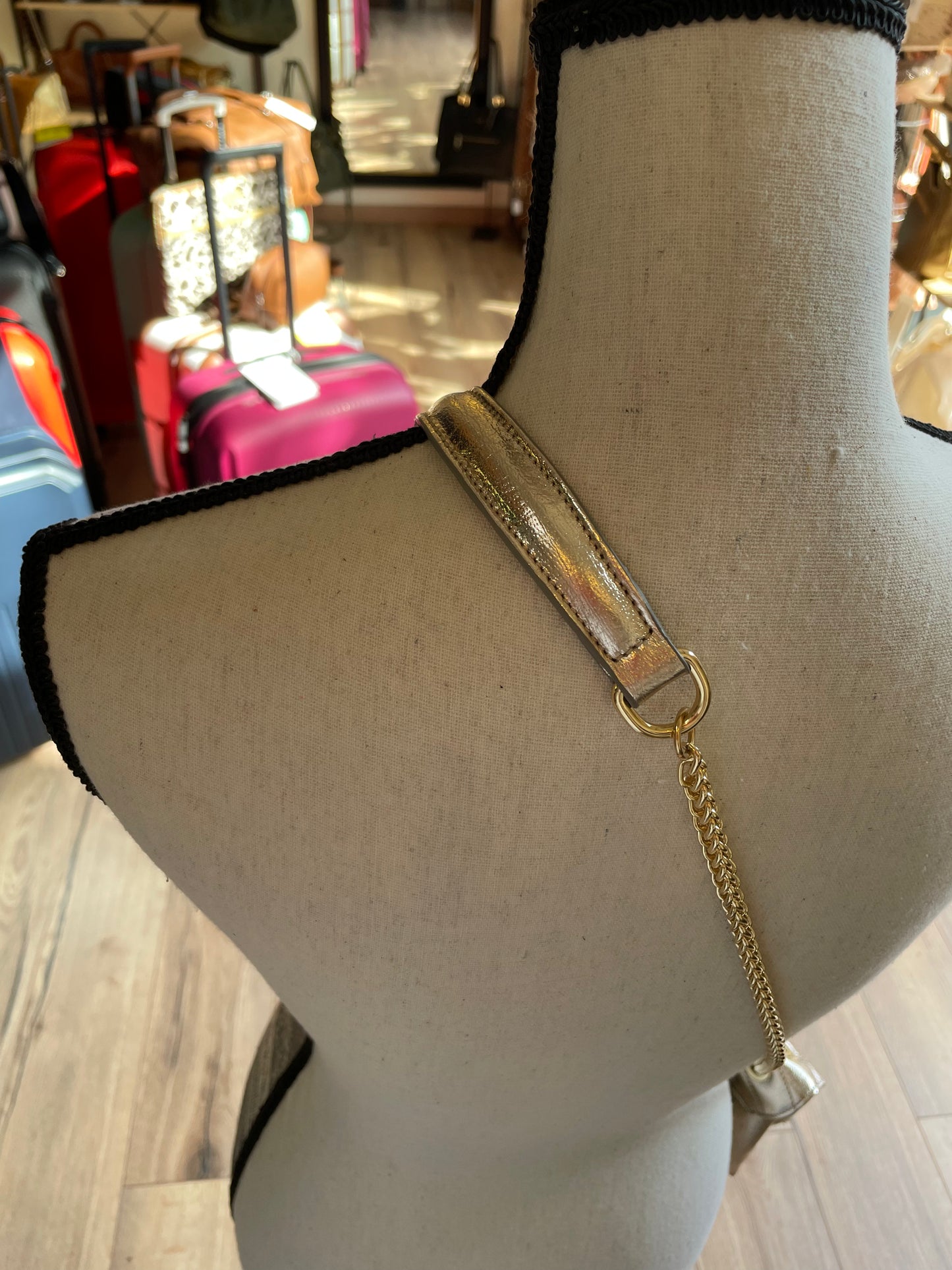 Sac bandoulière ligne JANA irisé en cuir doré - Etrier -