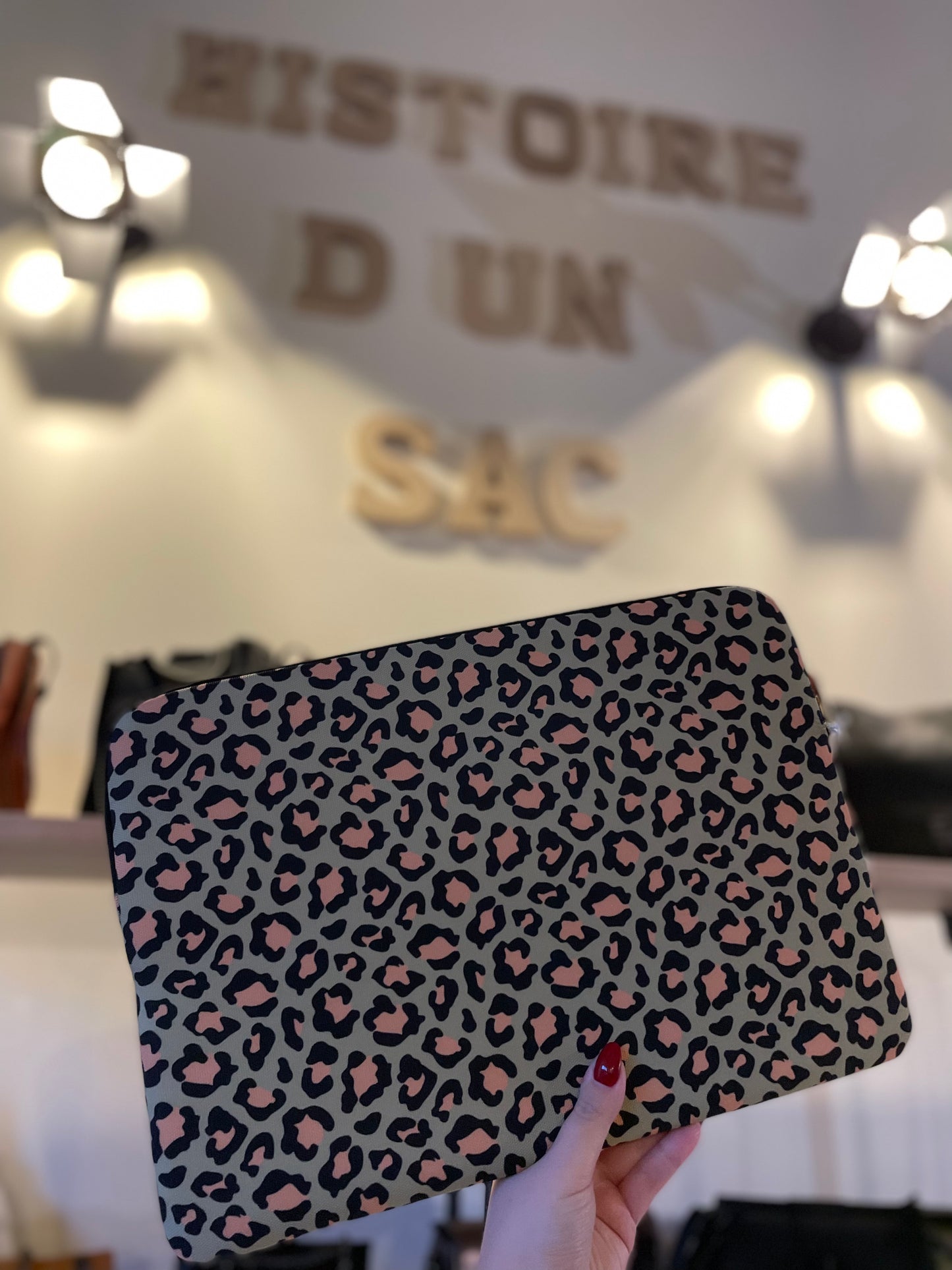 Housse d'ordinateur 15 pouces CASYX