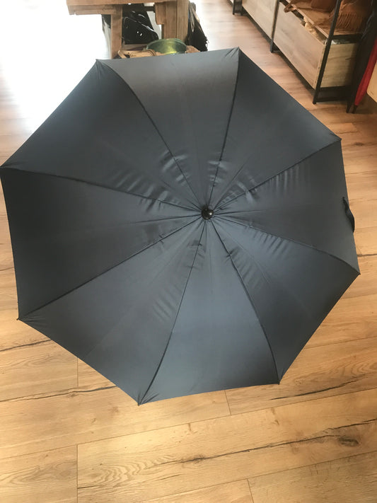 Parapluie Golf Automatique Bleu Pierre Vaux